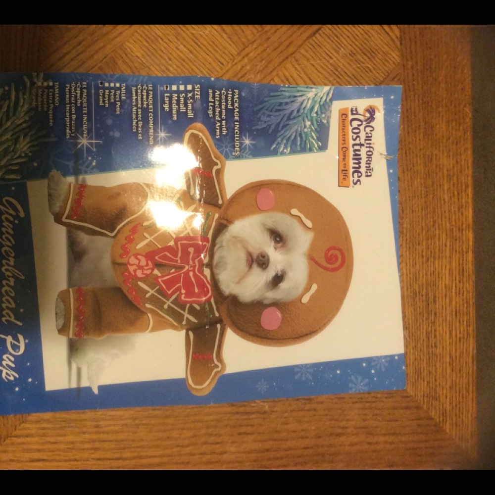 Size large Christmas pet costume